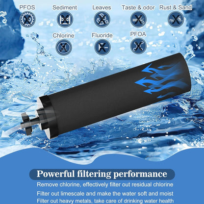 BB9-2 Refrigerator Water Filter